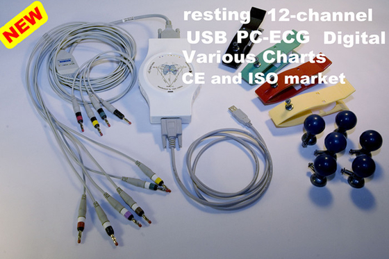 Hand Held PC Based ECG System